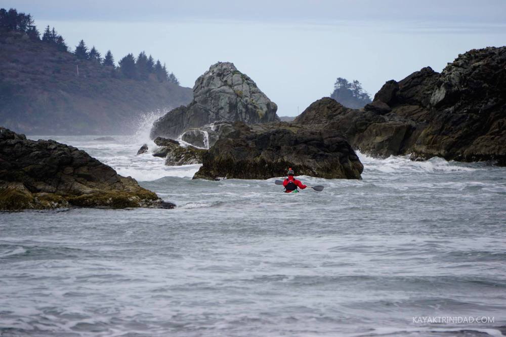 17991591_1332604773488893_5015191788375618021_o