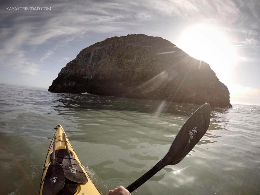 18156170_1337643589651678_5467414203769009627_o