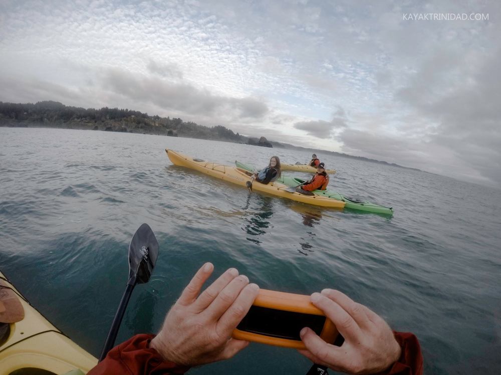 18449305_1353800321369338_3892855123250620002_o