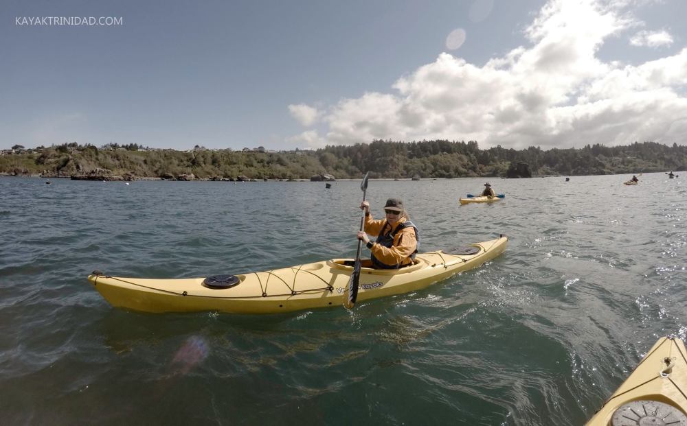 18527205_1359503950798975_1787199511196961968_o