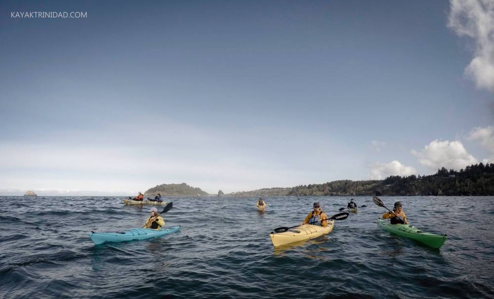 18556580_1357415374341166_6358591604198660818_o