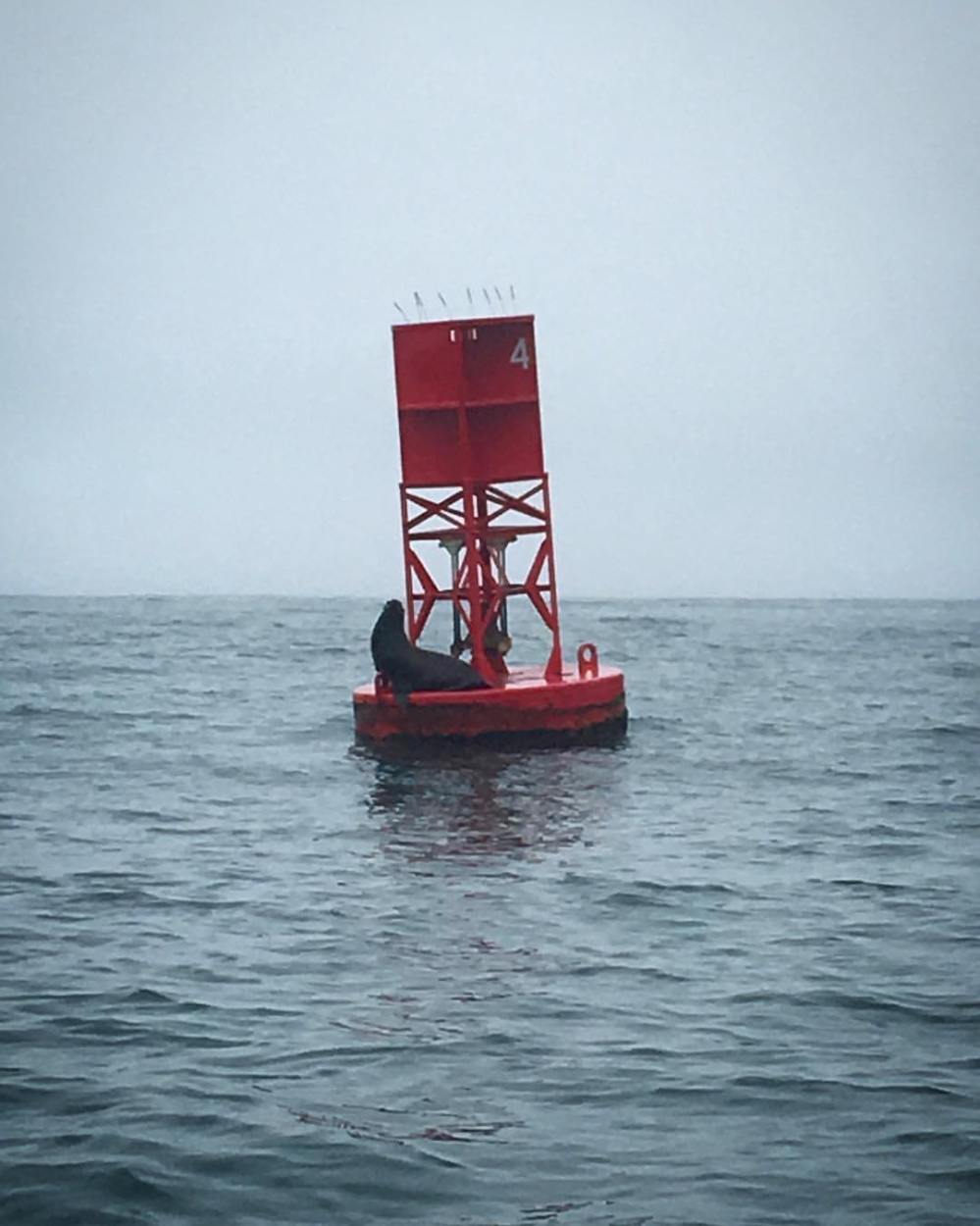 18672889_1366504130098957_7065157598235552268_o