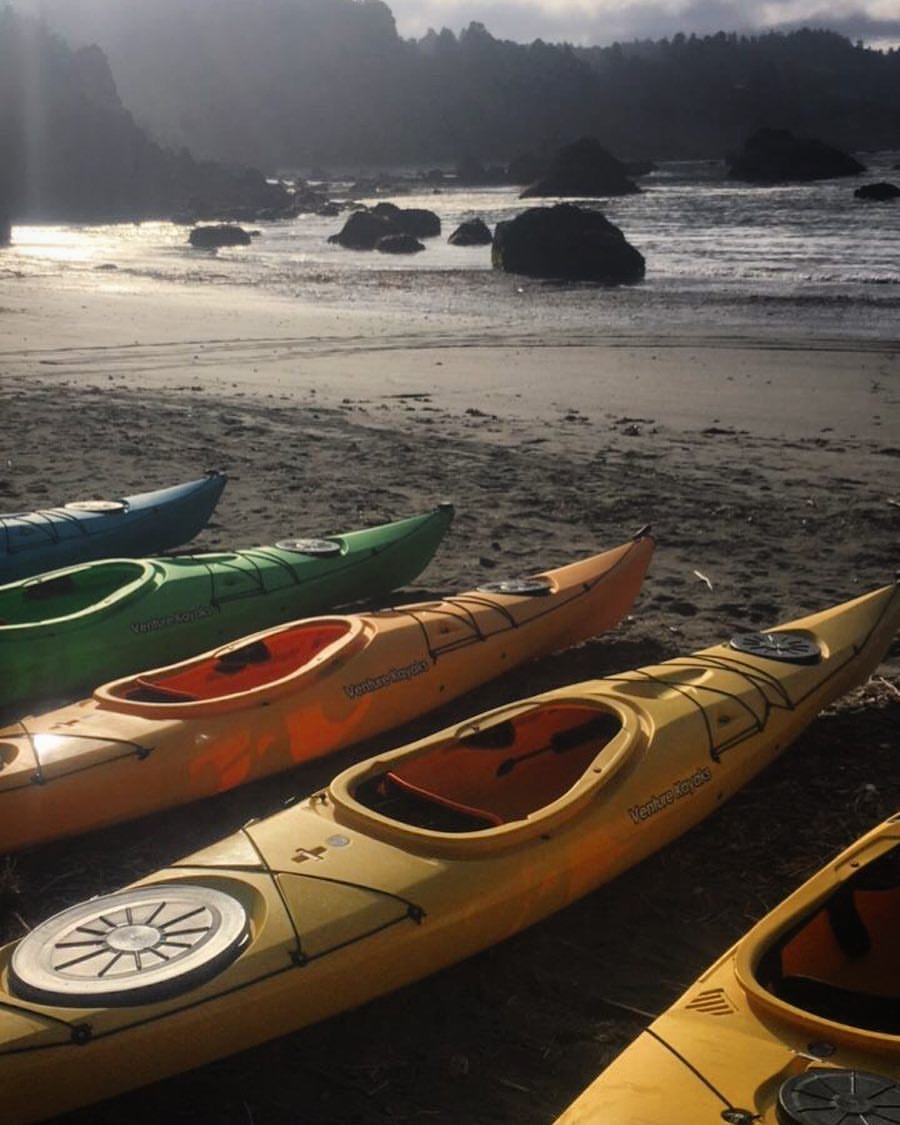 19702751_1411637992252237_4704924457006245392_o