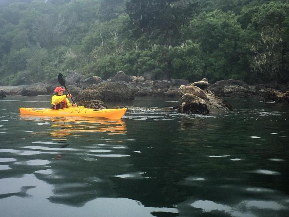 19944304_1419597764789593_4992826850140231025_o