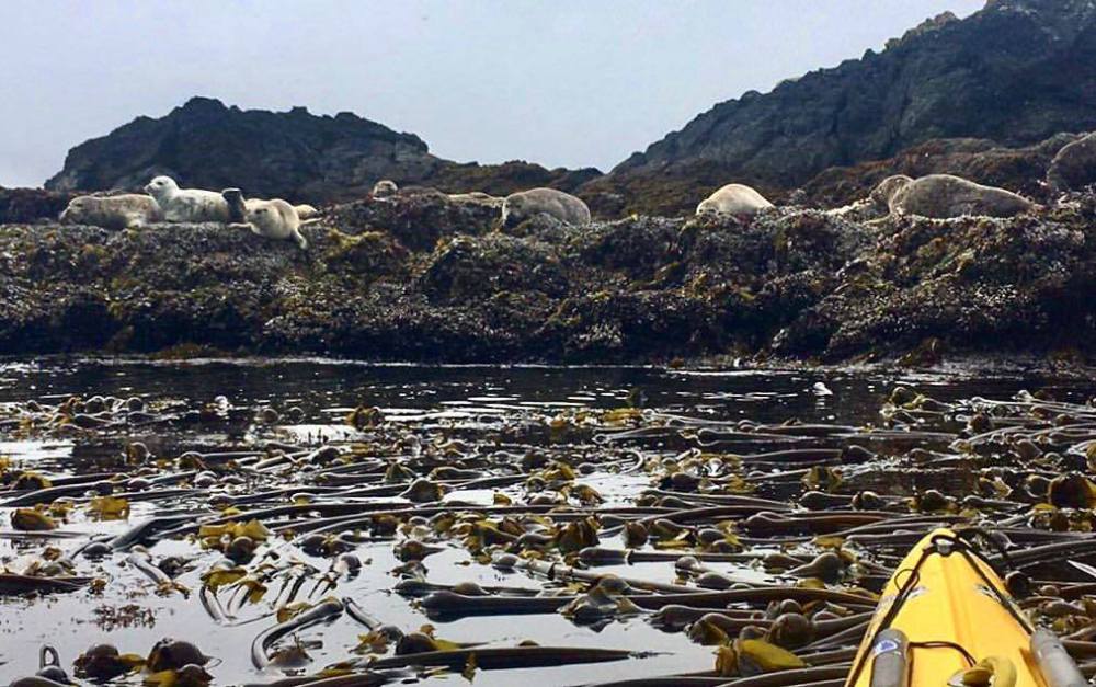 20287055_1436896436393059_3102824253989220972_o