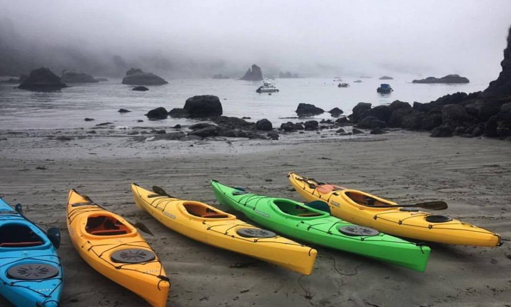 20369934_1435954279820608_4452243745956499914_o