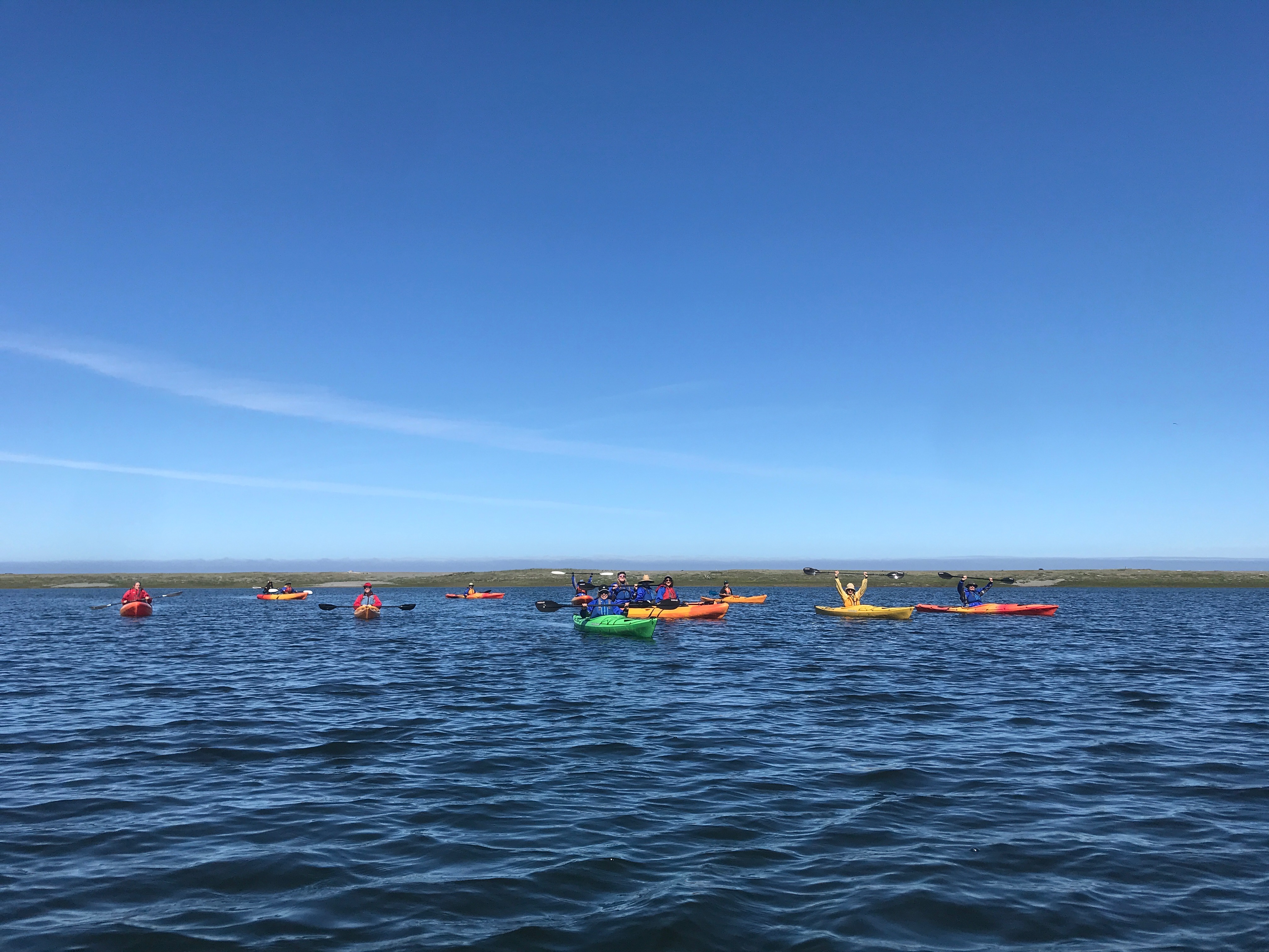 DBF54DB8-0B9A-46E7-8D71-D6C710184C19